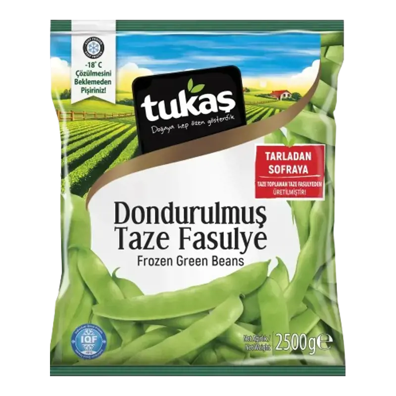 DONDURULMUŞ TAZE FASULYE